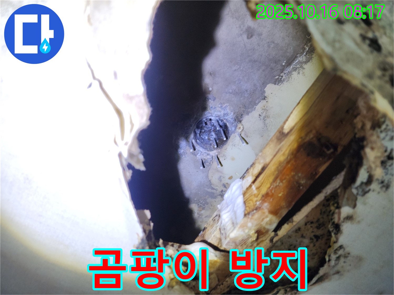 양주시 남면 천장 누수 - 곰팡이를 깨끗하게 제거하고, 곰팡이 방지 시공을 진행하고 있습니다.