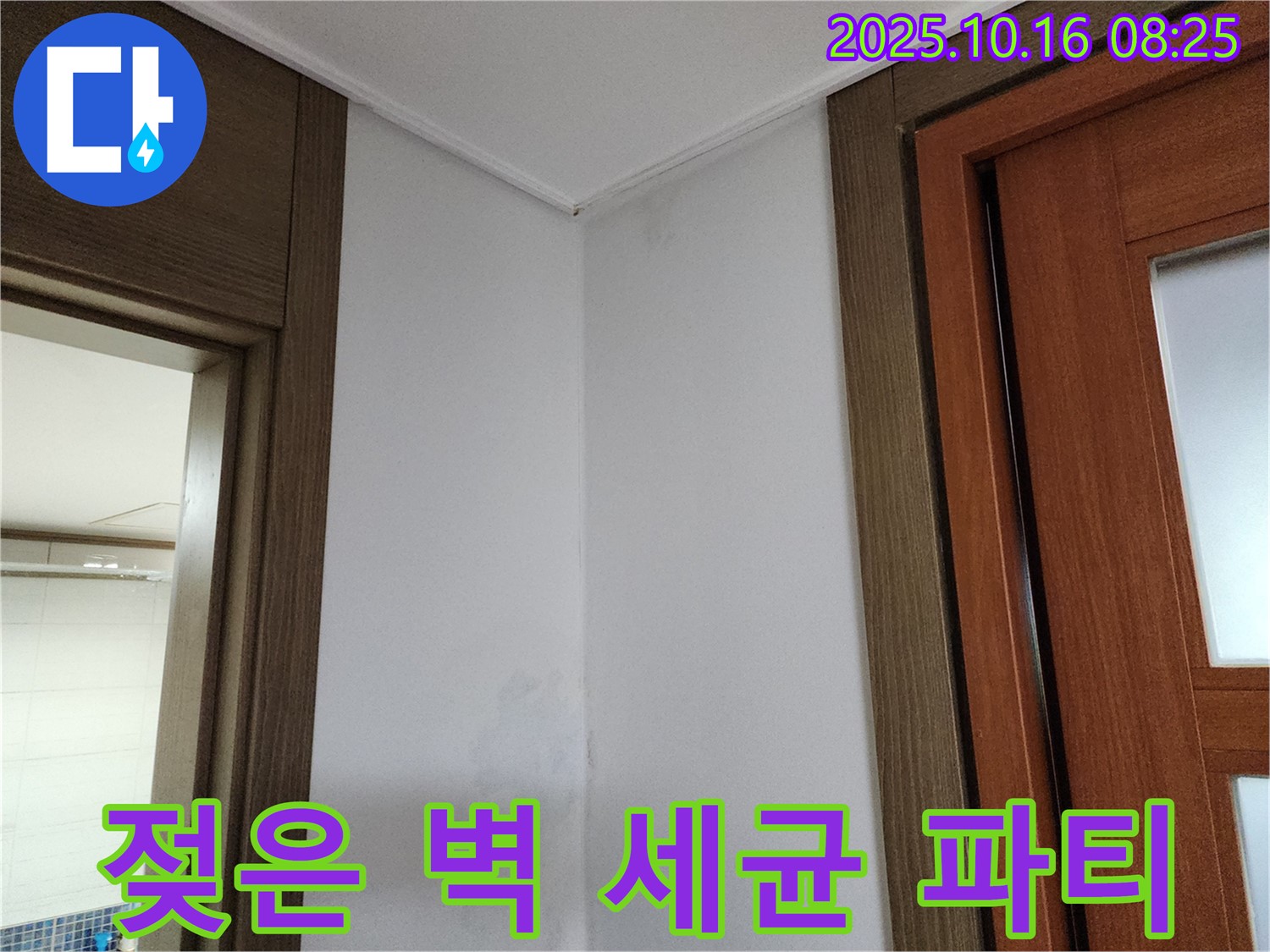 젖은 벽 - 세균 파티 - 누수 점검 필수
