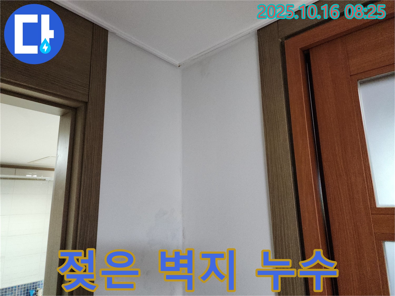 젖은 벽지 - 누수 의심 - 빠른 점검 필요 - 전문가