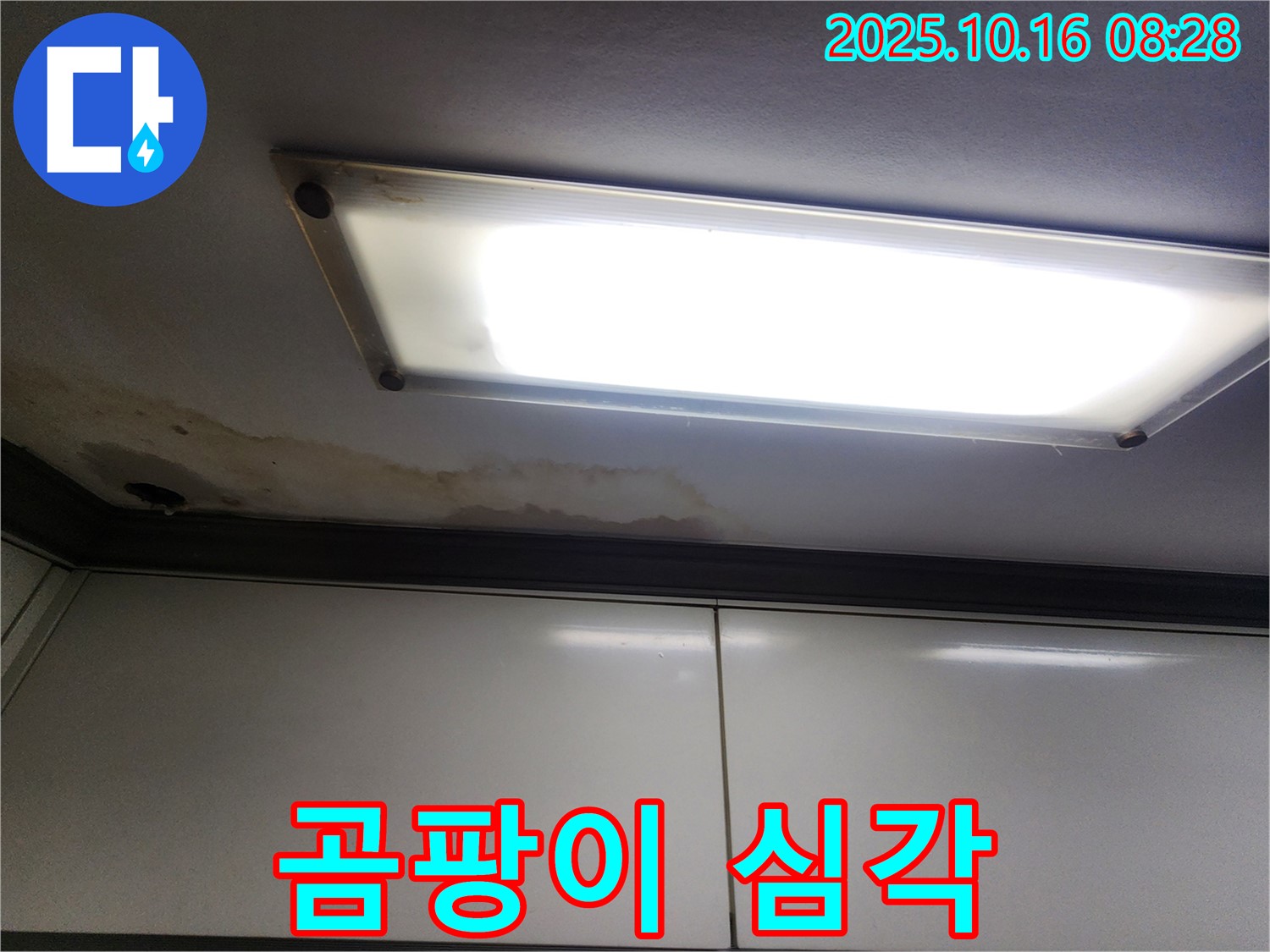 형광등 주변 곰팡이 - 심각한 오염 - 건강 위협