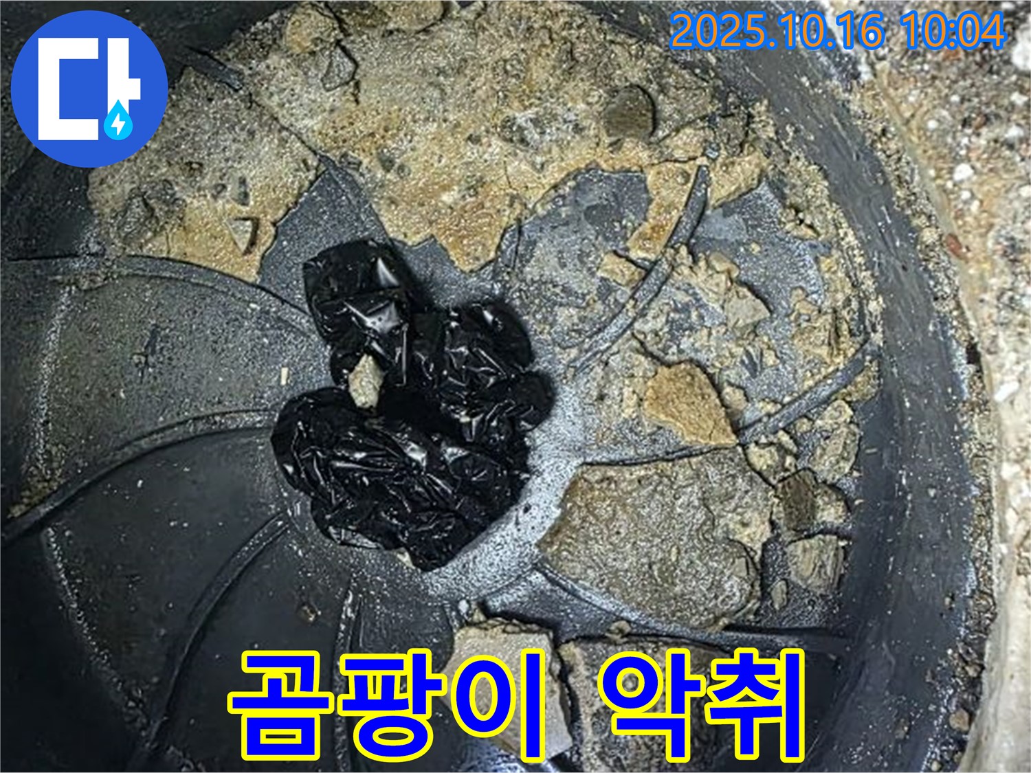 양주 옥정 율정마을 아파트 누수 - 배수구 막힘 - 곰팡이와 악취의 합작