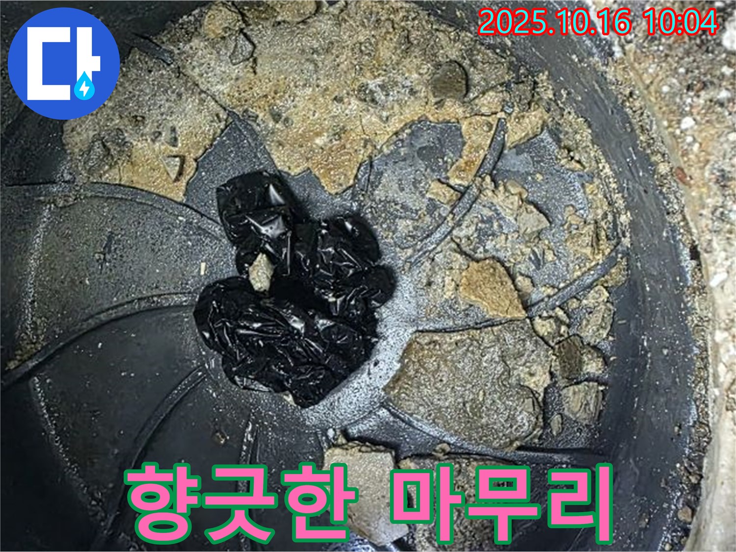 양주 옥정 율정마을 아파트 누수 - 배수구 악취 제거 - 향긋한 마무리