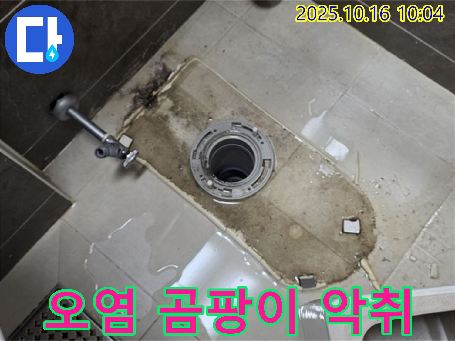옥정동 율정마을 아파트 변기 누수 - 심한 오염과 곰팡이, 악취 누수 해결 - 깨끗하게 청소하고 곰팡이와 악취까지 완벽하게 제거