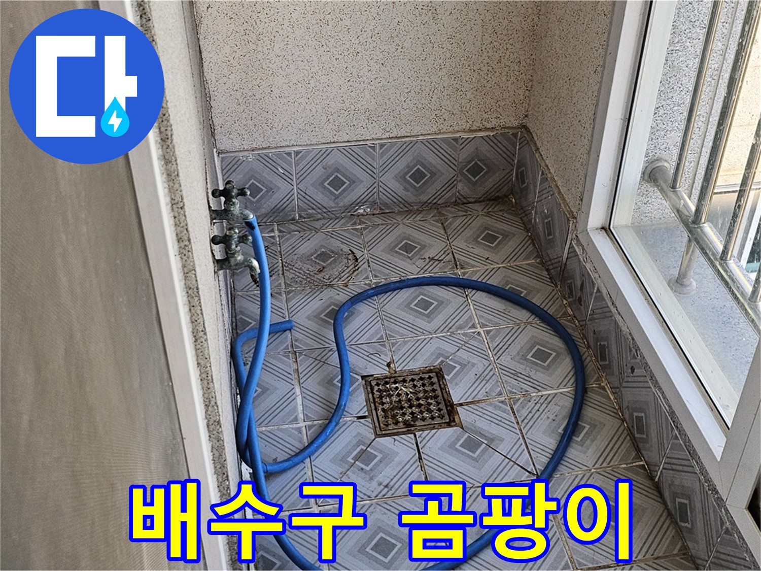 배수구 주변 곰팡이 - 습기 제거 필수
