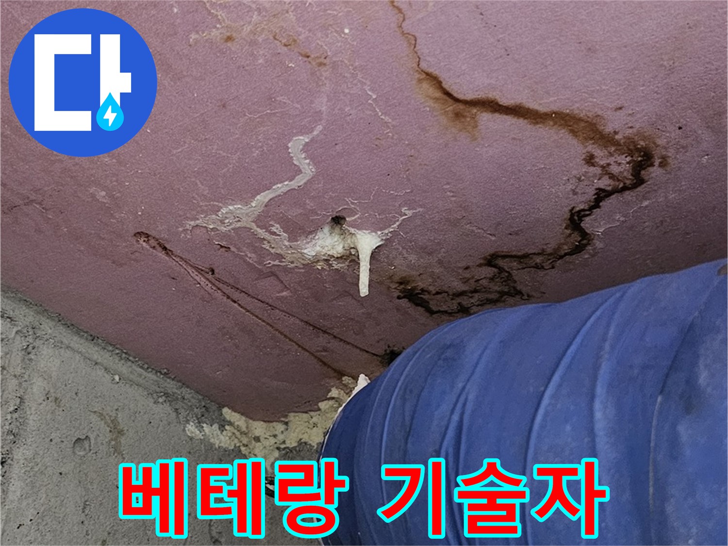 베테랑 기술자 - 꼼꼼한 손길