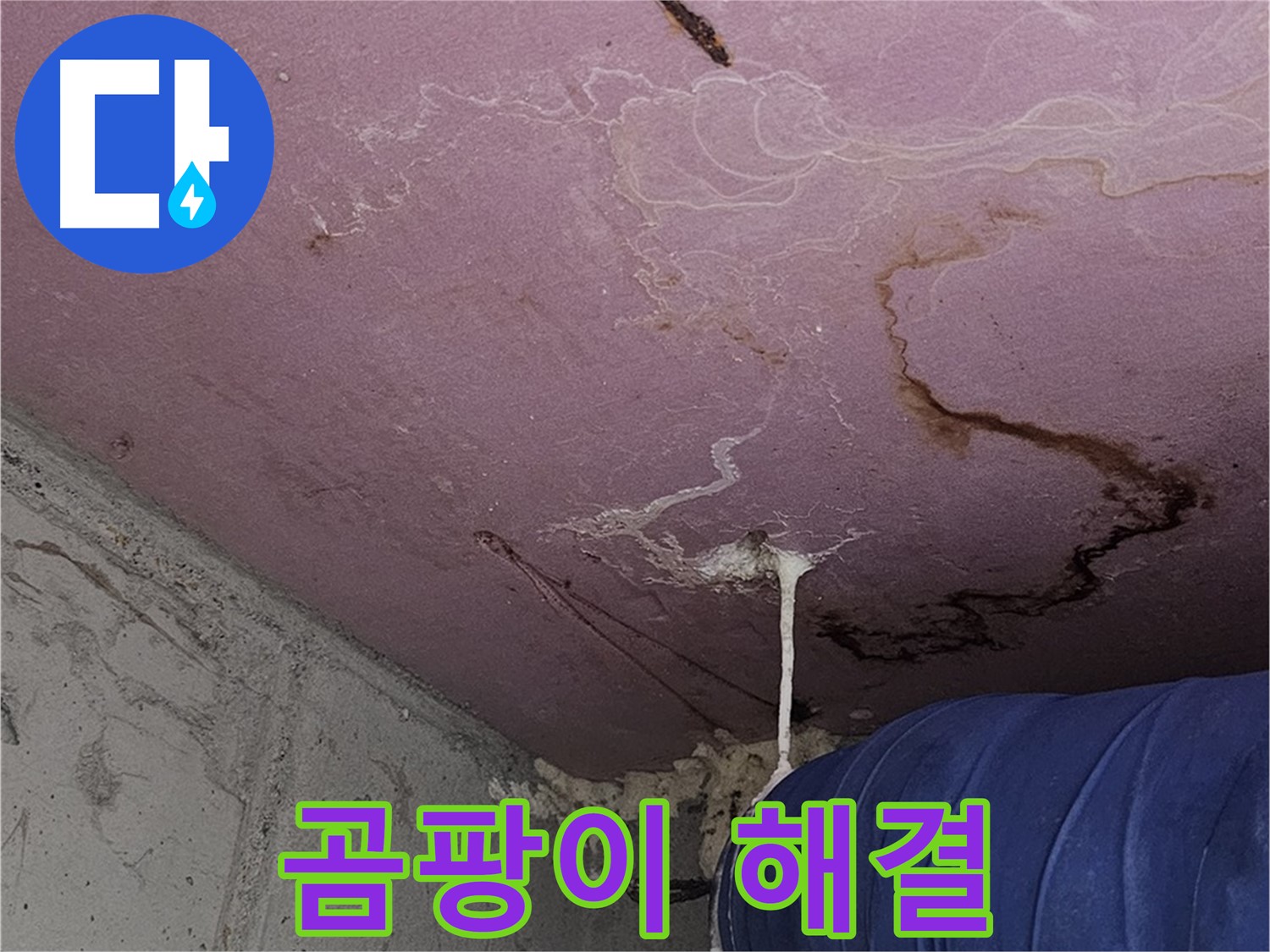 신월동 양천구 누수 - 벽 곰팡이 해결, 쾌적한 공간으로