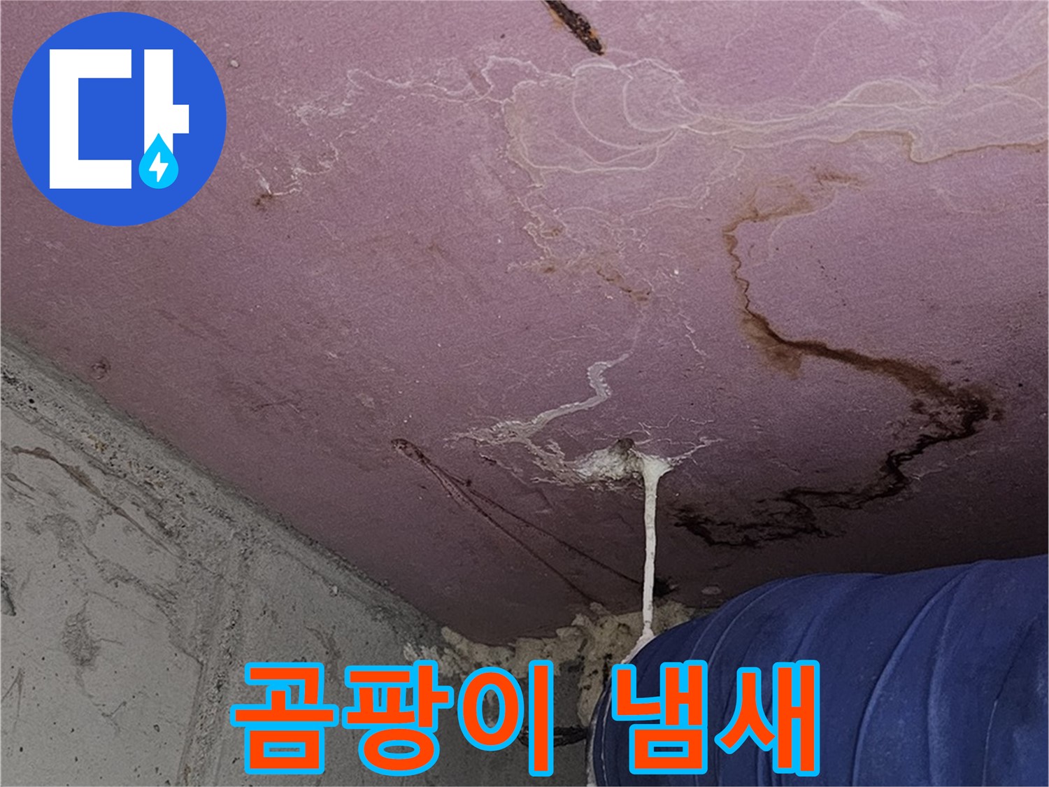 신월동 양천구 누수 - 벽에 곰팡이 냄새, 누수 의심