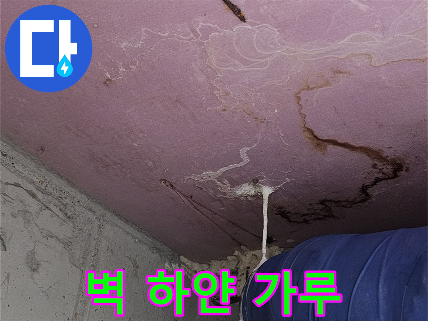 신월동 양천구 누수 - 벽에 하얀 가루, 석회질 누수 의심