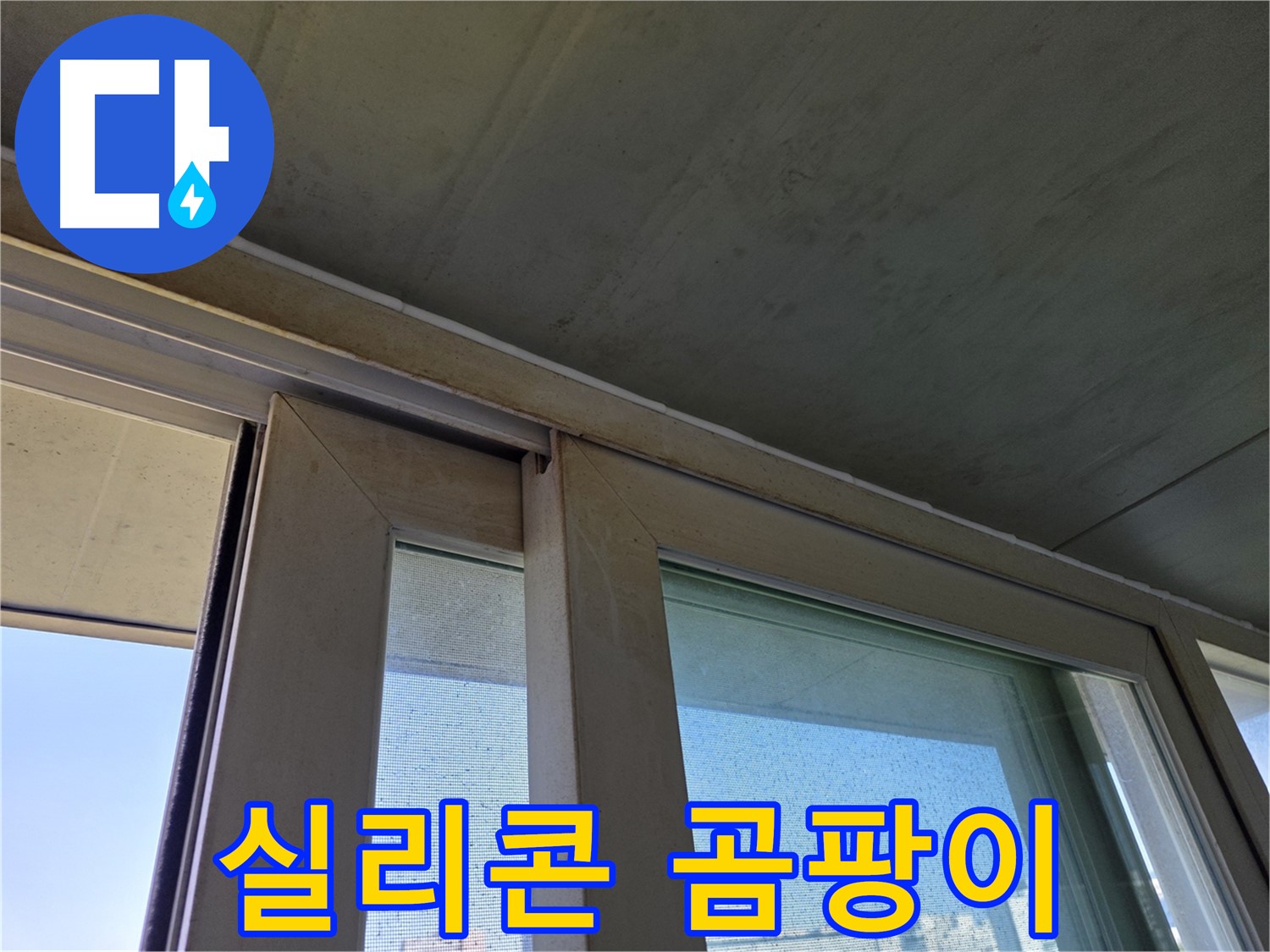 신월동 양천구 창틀 누수 - 실리콘 오염으로 곰팡이 서식