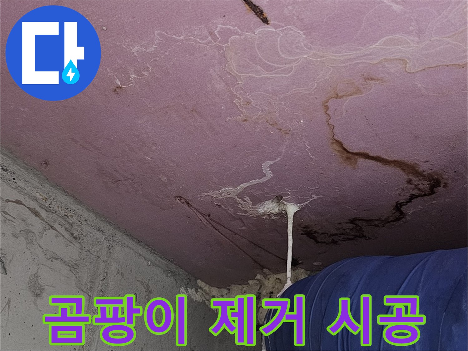 양천구 신월동 누수 - 곰팡이 제거 후, 재발 방지 시공