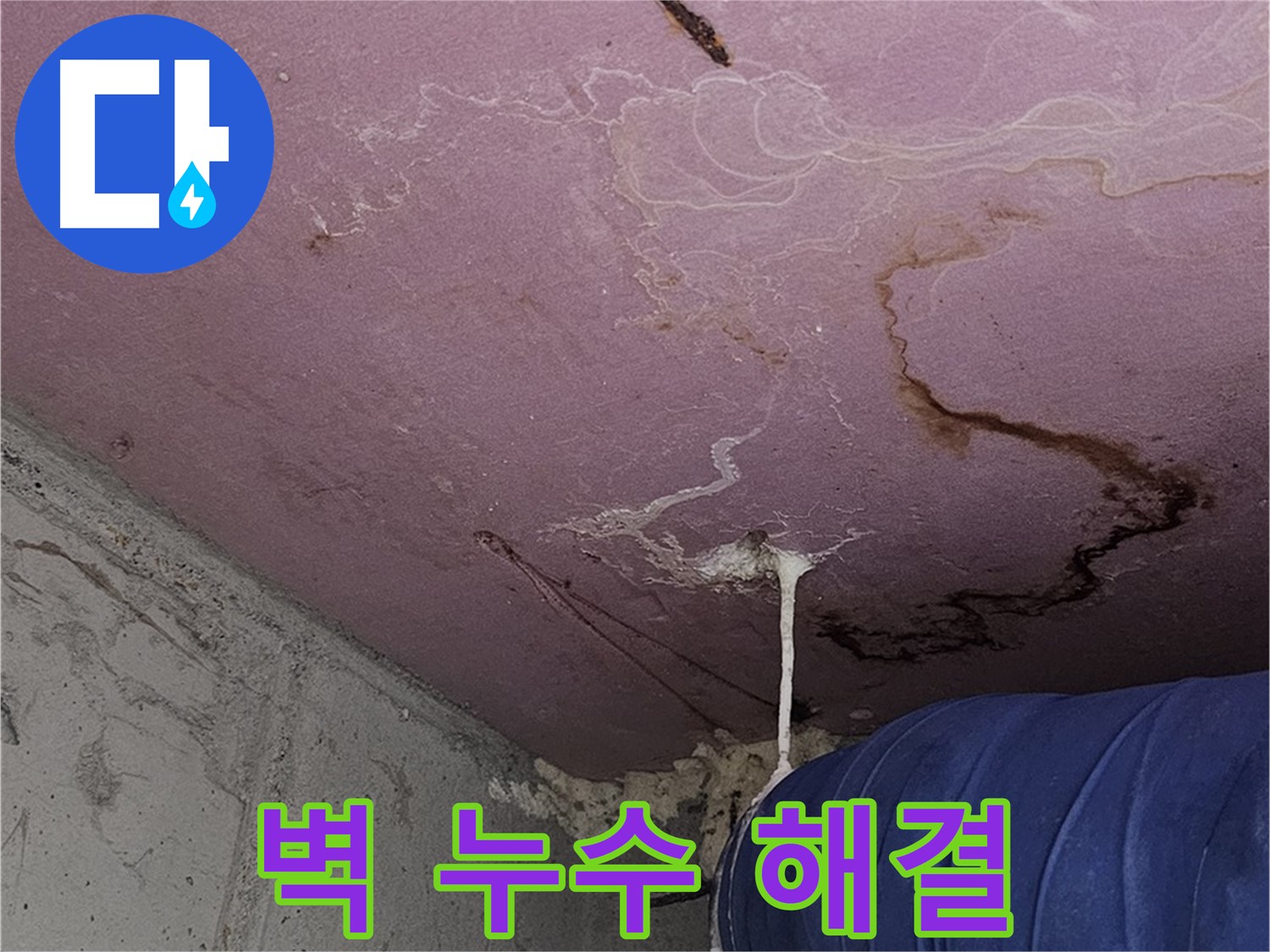 양천구 신월동 누수 - 벽 누수 해결, 쾌적한 공간