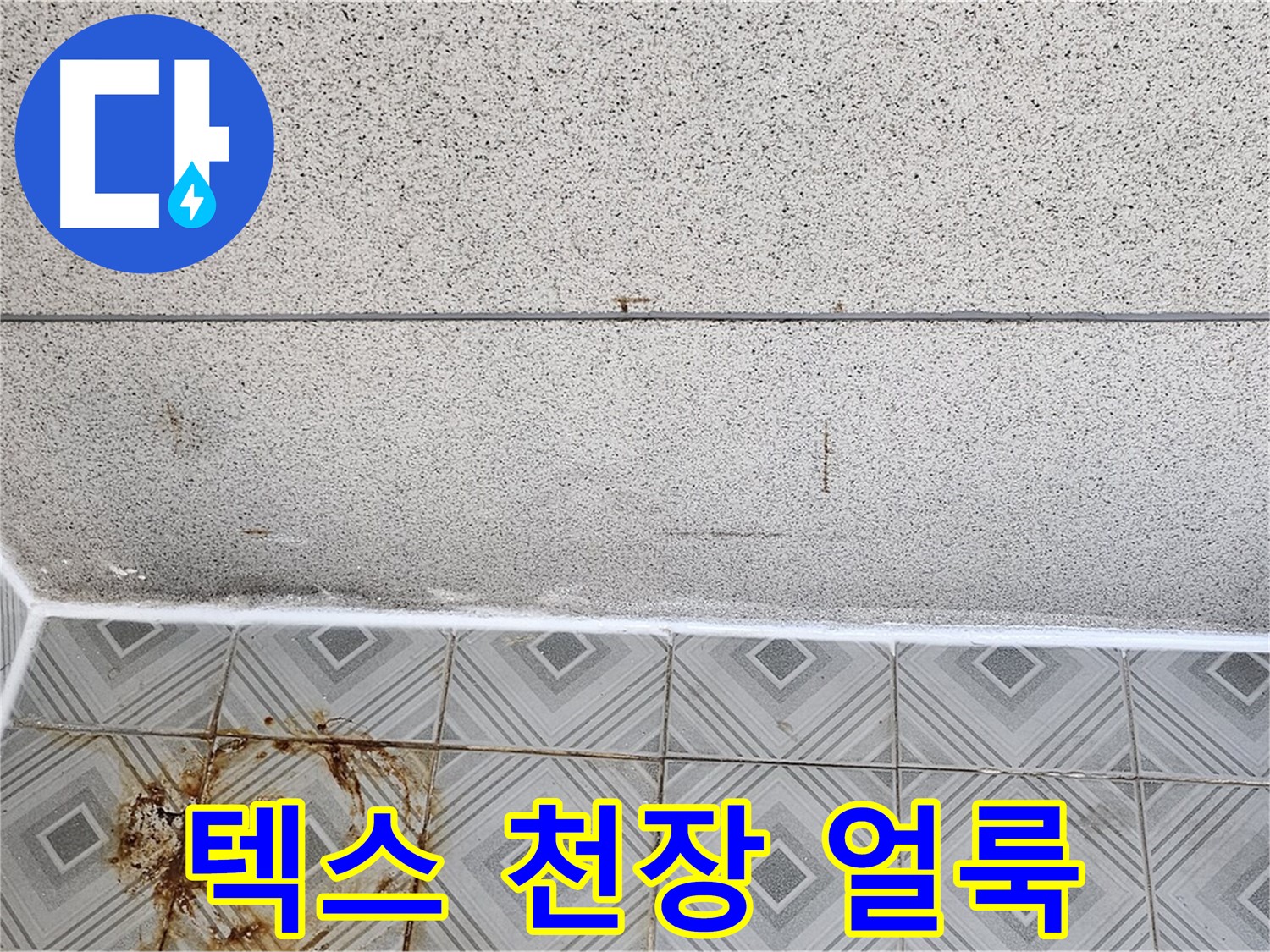 양천구 신월동 텍스 천장 얼룩 - 윗집 누수 의심