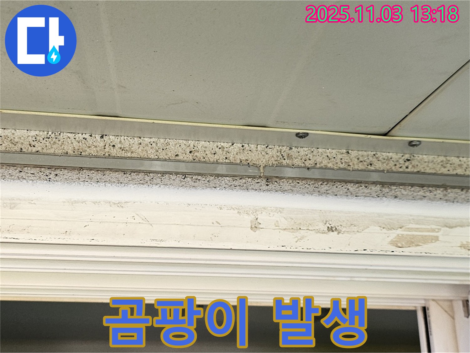 양천구 천장 누수 - 석고보드 젖음, 곰팡이 발생 가능성에 주의하세요!