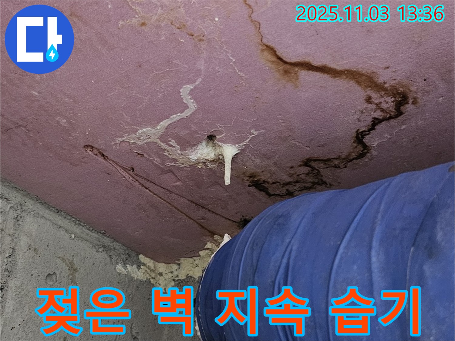 양천구에서 발생한 누수로 인한 젖은 벽과 지속적인 습기 문제 - 전문적인 누수탐지 및 해결