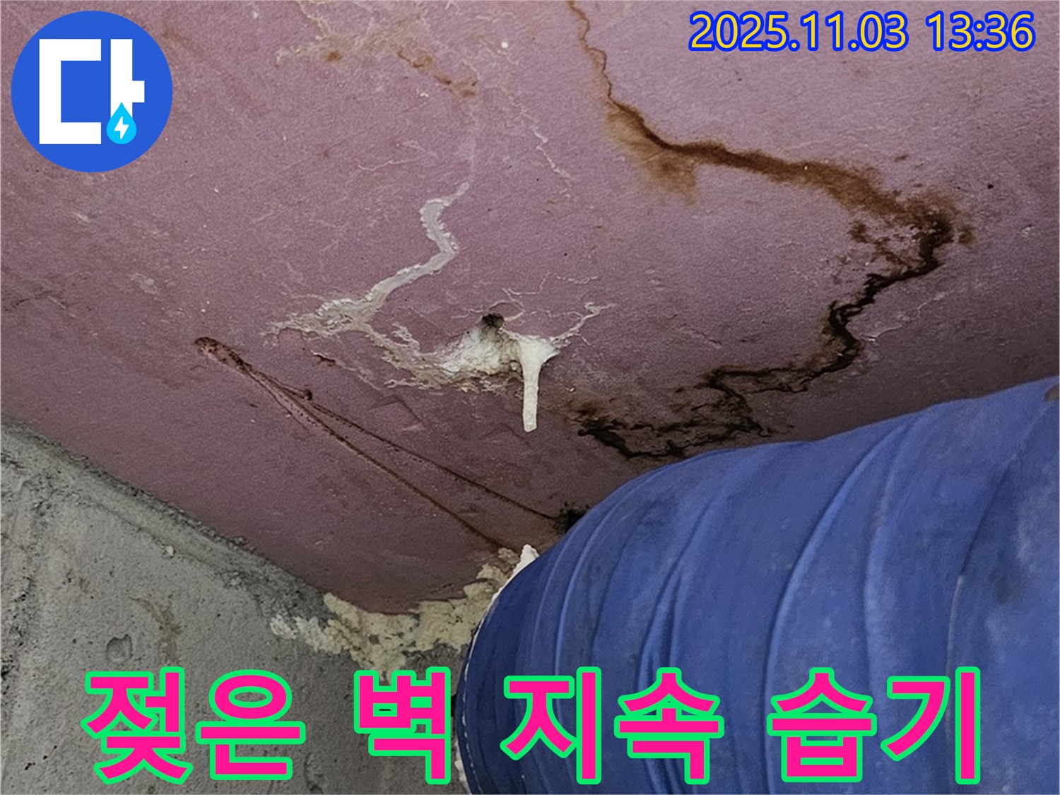 양천구에서 발생한 누수로 인한 젖은 벽과 지속적인 습기 - 완벽 차단 및 쾌적한 환경 유지