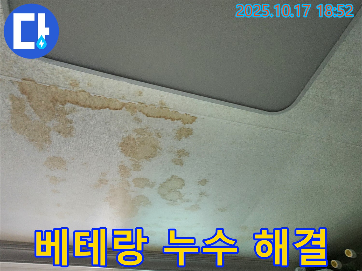 베테랑 누수 해결 - 숙련된 기술 - 완벽한 시공