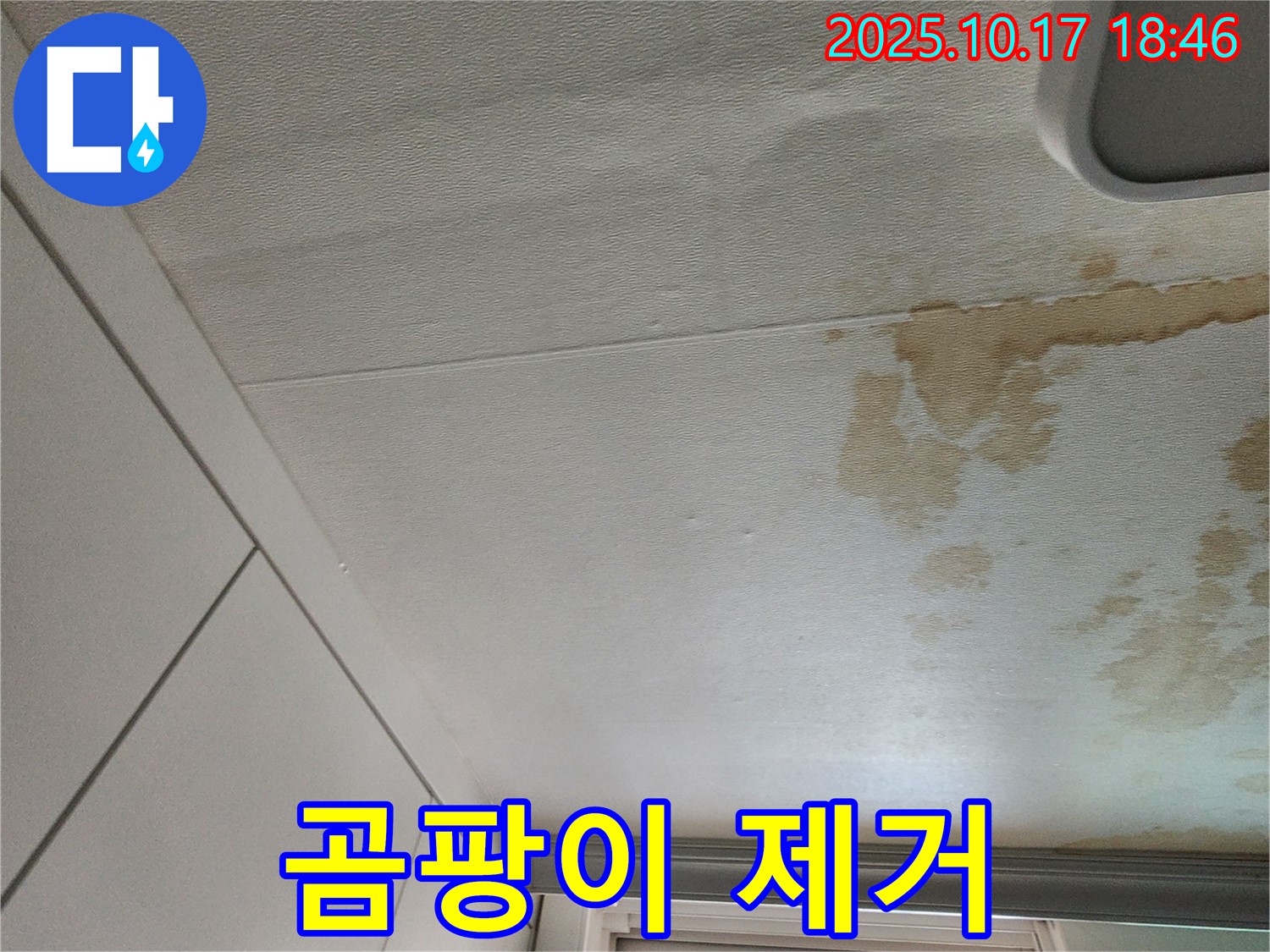 양주 천장 누수 - 곰팡이 걱정 없이 깨끗하게