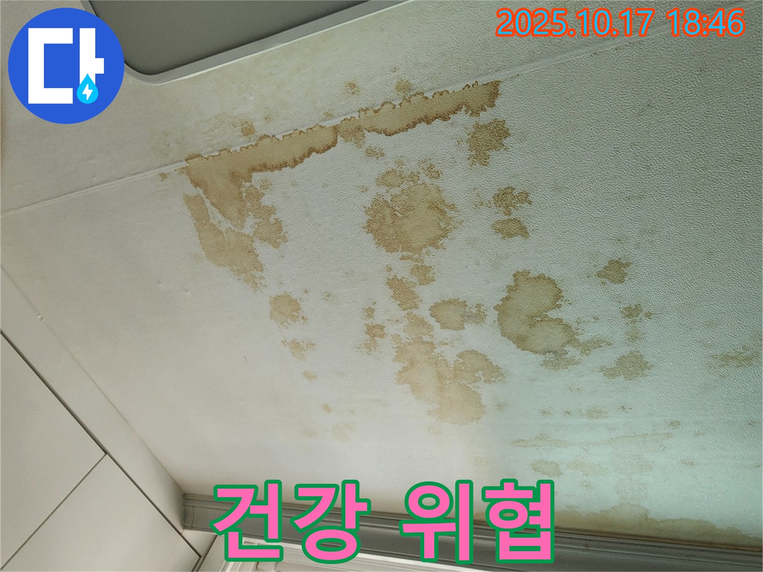 양주시 남면 상수리 누수 - 천장 곰팡이 건강 위협