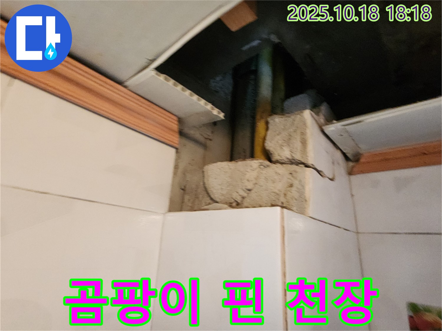 양주시 교현리 누수 현장 - 곰팡이 핀 천장, 누수 해결 후 곰팡이 제거까지 책임집니다.