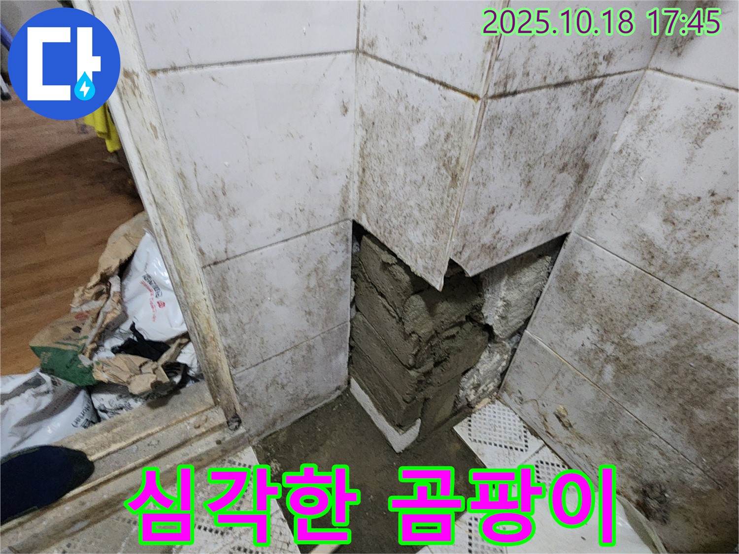 양주시 장흥면 교현리 누수 - 곰팡이와 손상된 타일