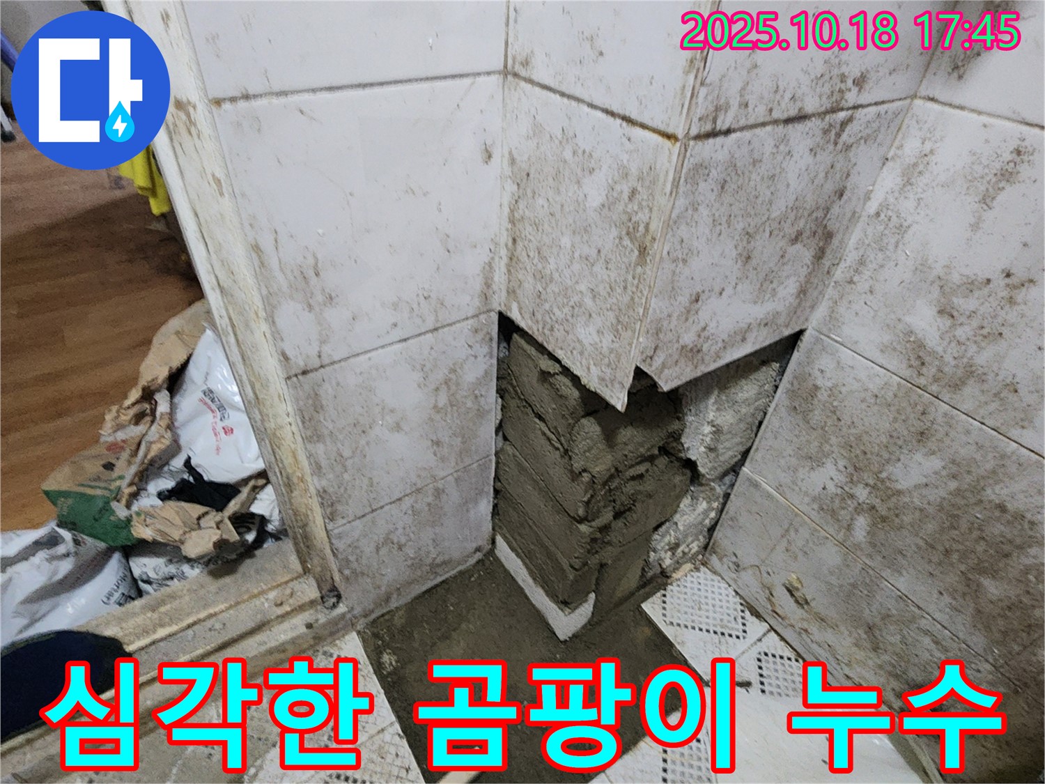양주시 장흥면 교현리 누수 - 곰팡이와 타일 손상 - 책임 시공