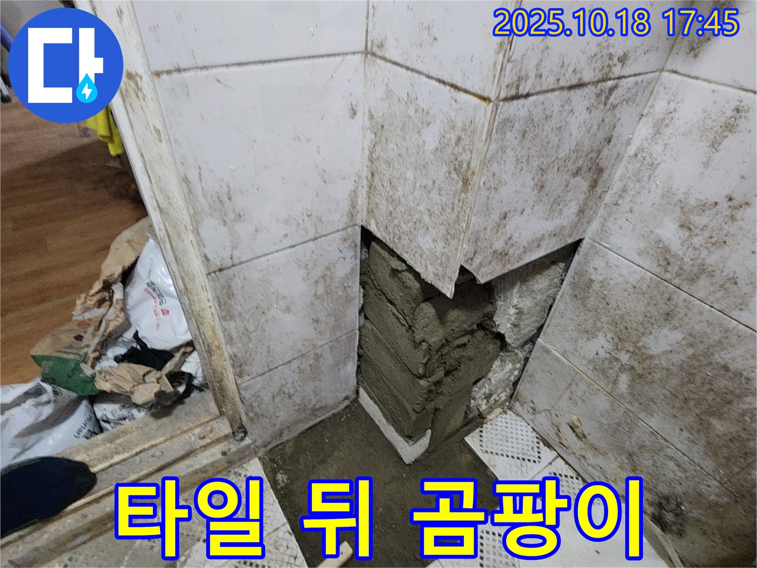 양주시 장흥면 교현리 누수 - 타일 뒤 숨겨진 곰팡이