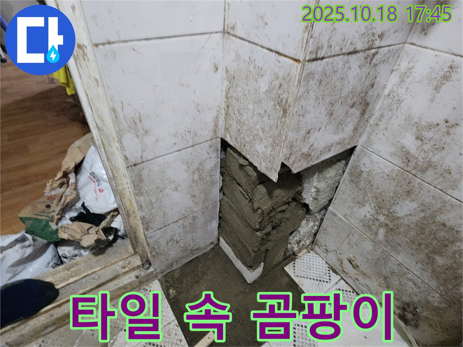 양주시 장흥면 교현리 누수 - 타일 속 곰팡이 제거 후 모습