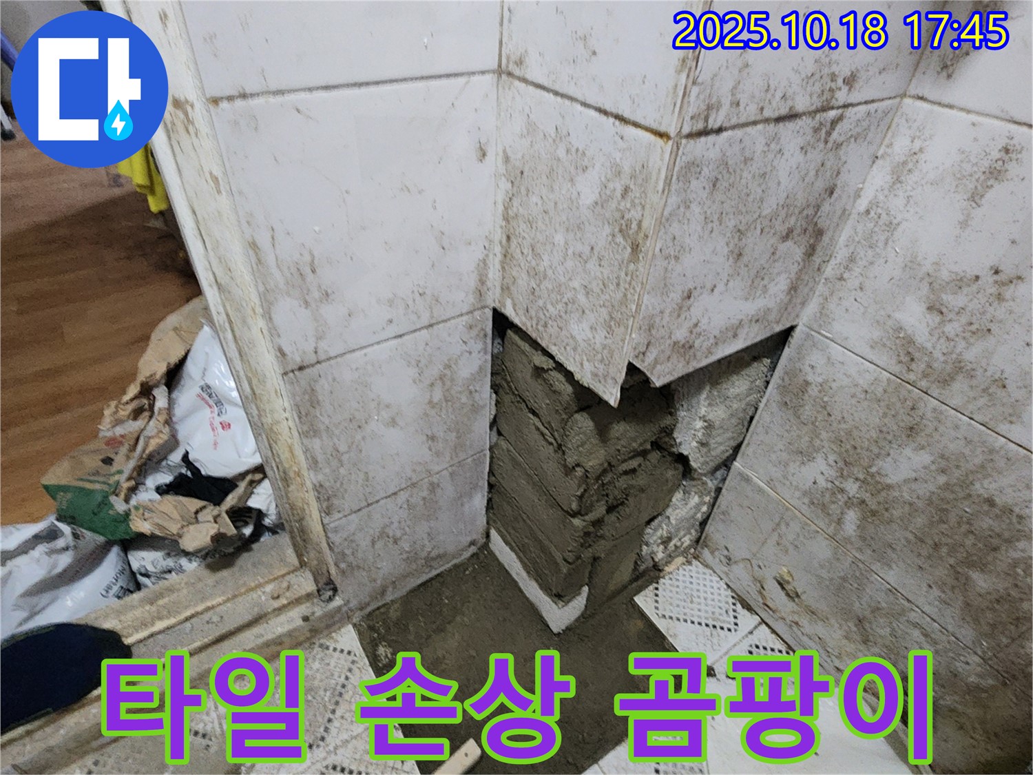 양주시 장흥면 교현리 - 타일 손상 곰팡이 누수