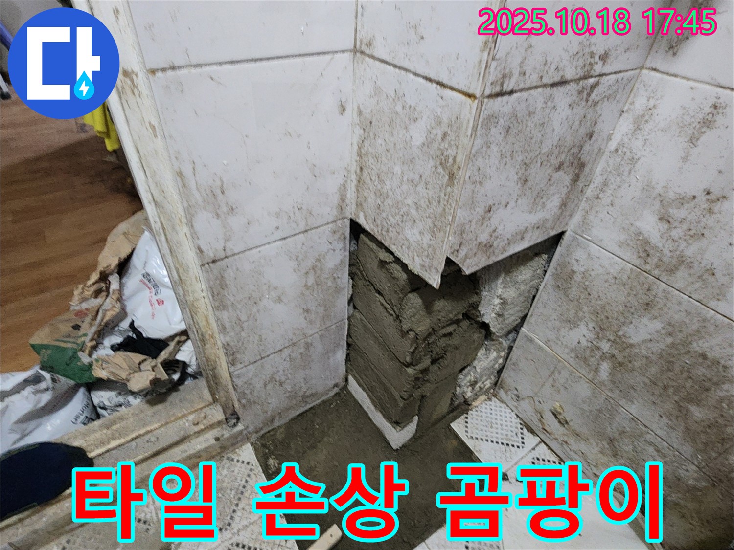 양주시 장흥면 교현리 - 타일 손상 곰팡이 누수 - 문제 해결