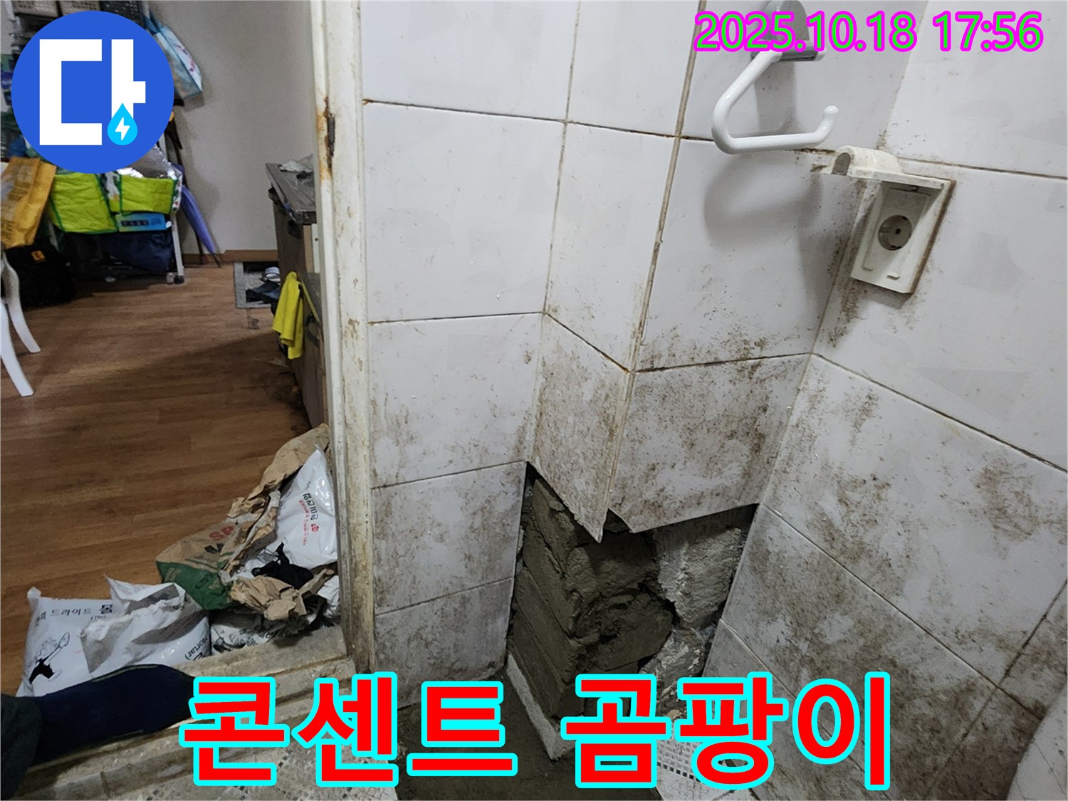 양주시 장흥면 누수 - 욕실 콘센트 주변 곰팡이, 감전 위험