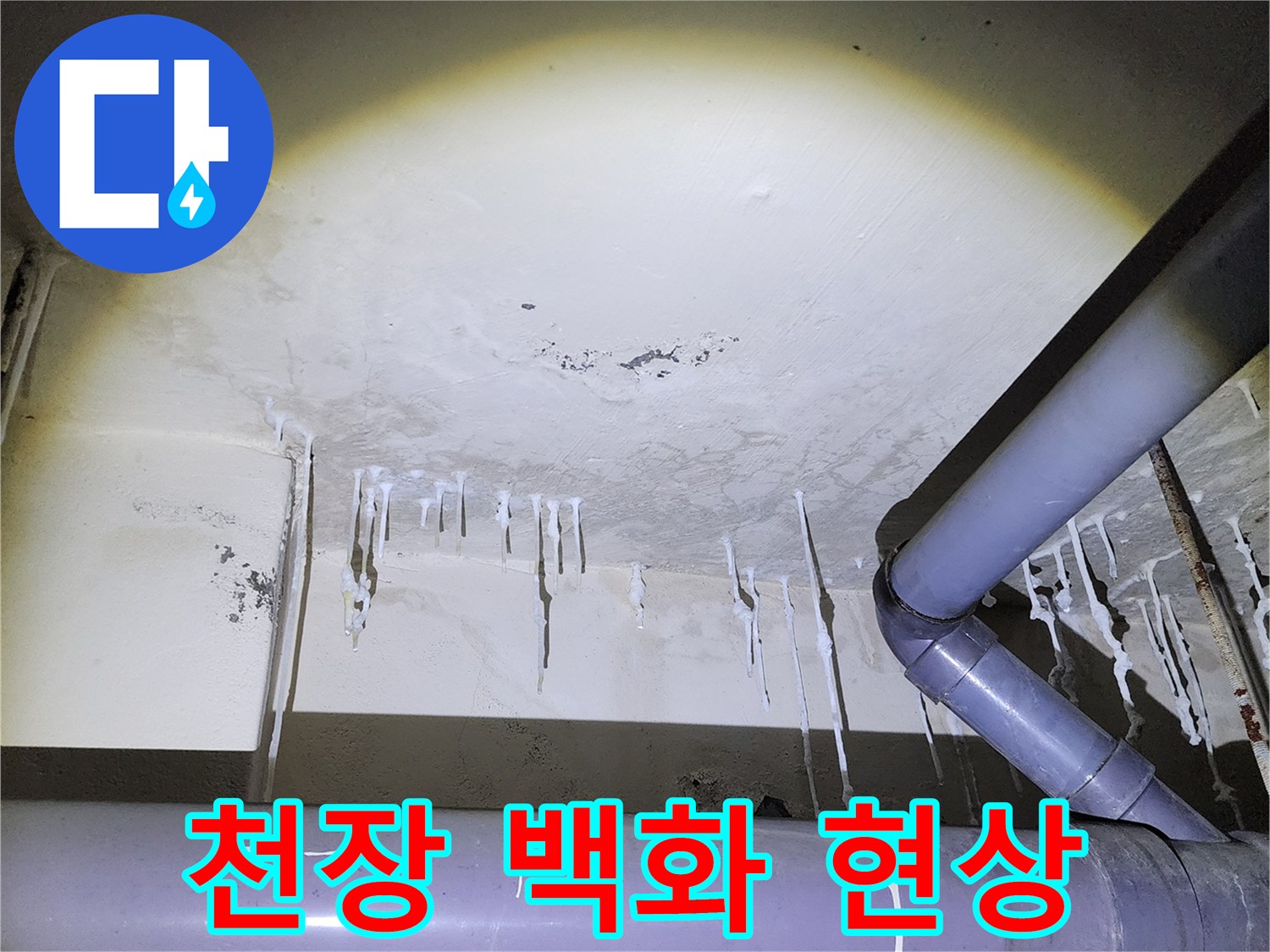 양주시 석현리 건물-천장에 발생한 흰색 석회 고드름 사진