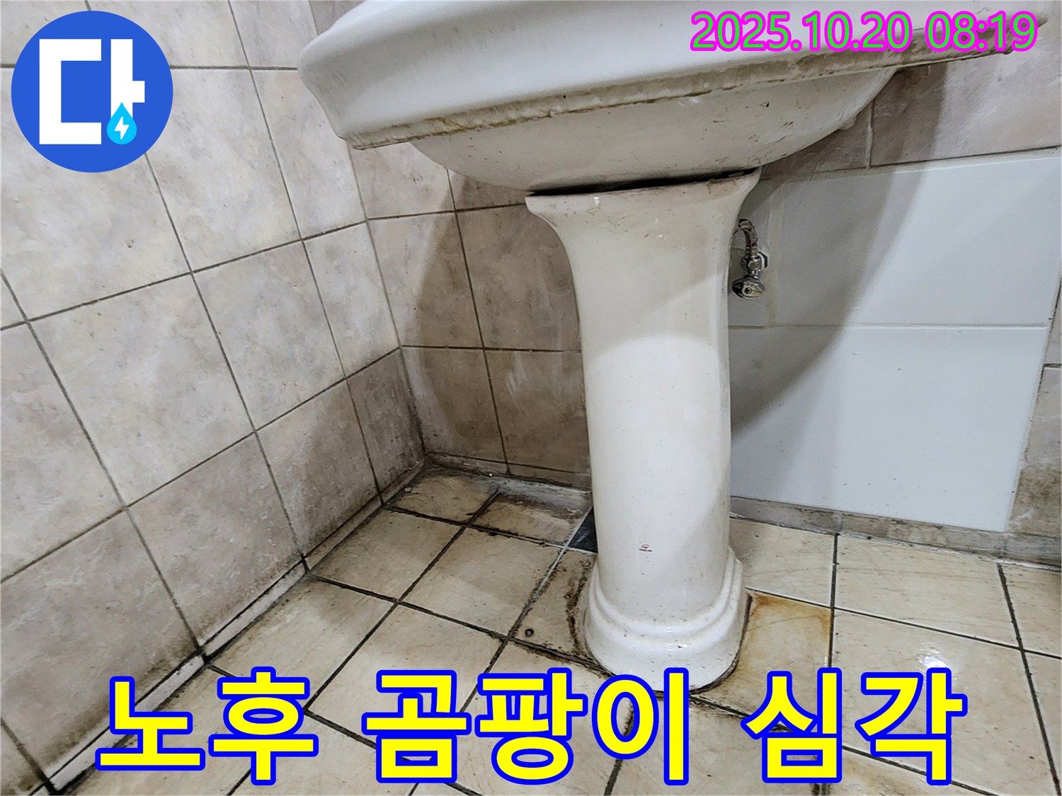 양주시 장흥면 석현리 노후 세면대 주변 - 곰팡이와 누수가 심각한 노후 세면대 주변의 모습입니다.
