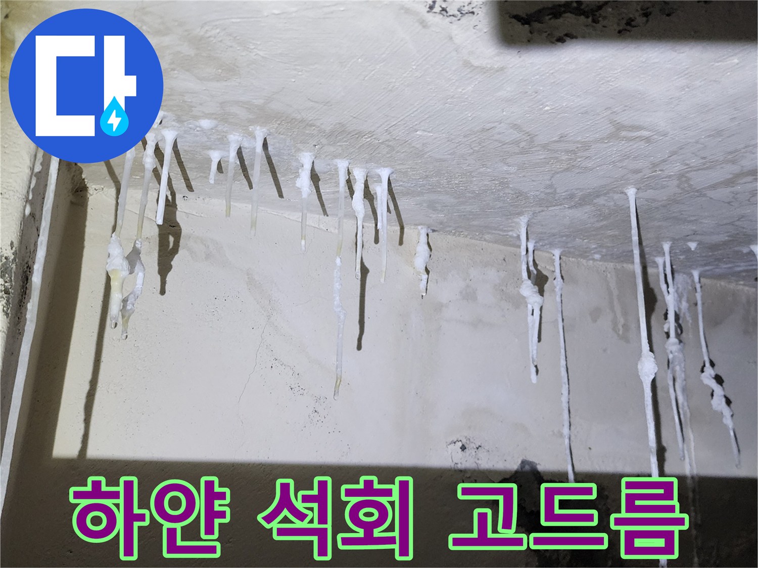 천장-슬래브-부근에-맺힌-백색-석회물-덩어리