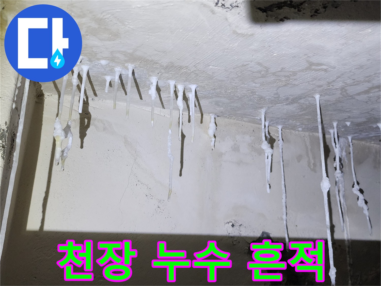 천장 슬래브 하단에 형성된 백색 석회 침착물 사진