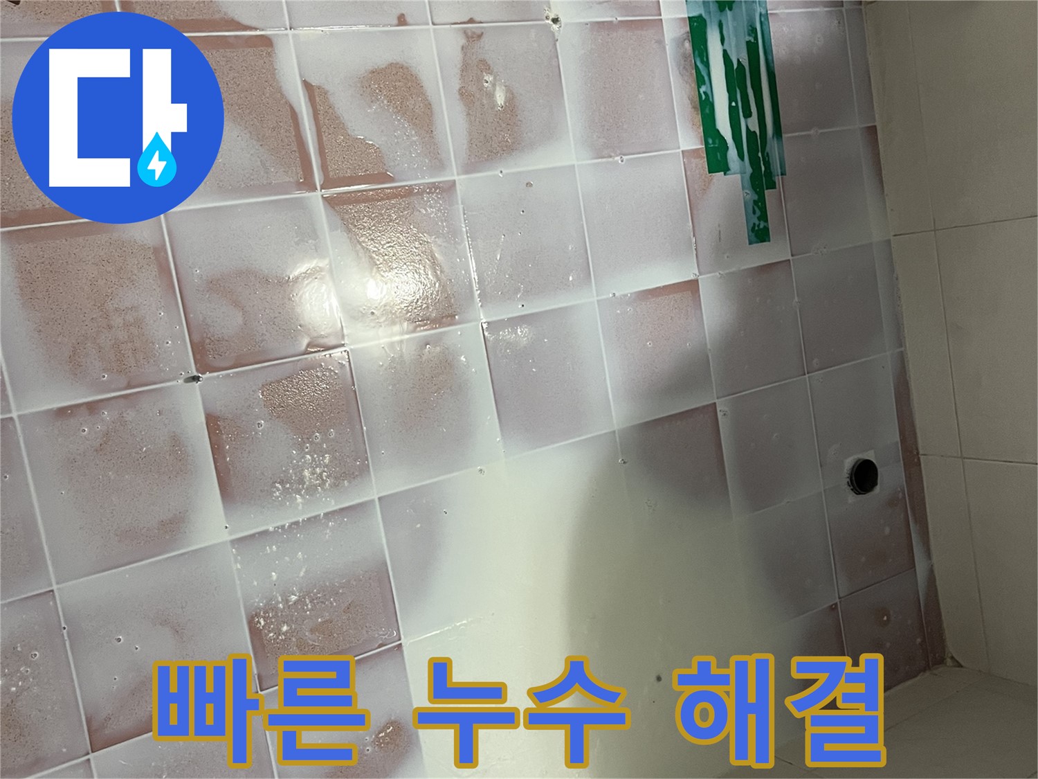곰팡이 누수 - 신속하고 정확하게 해결