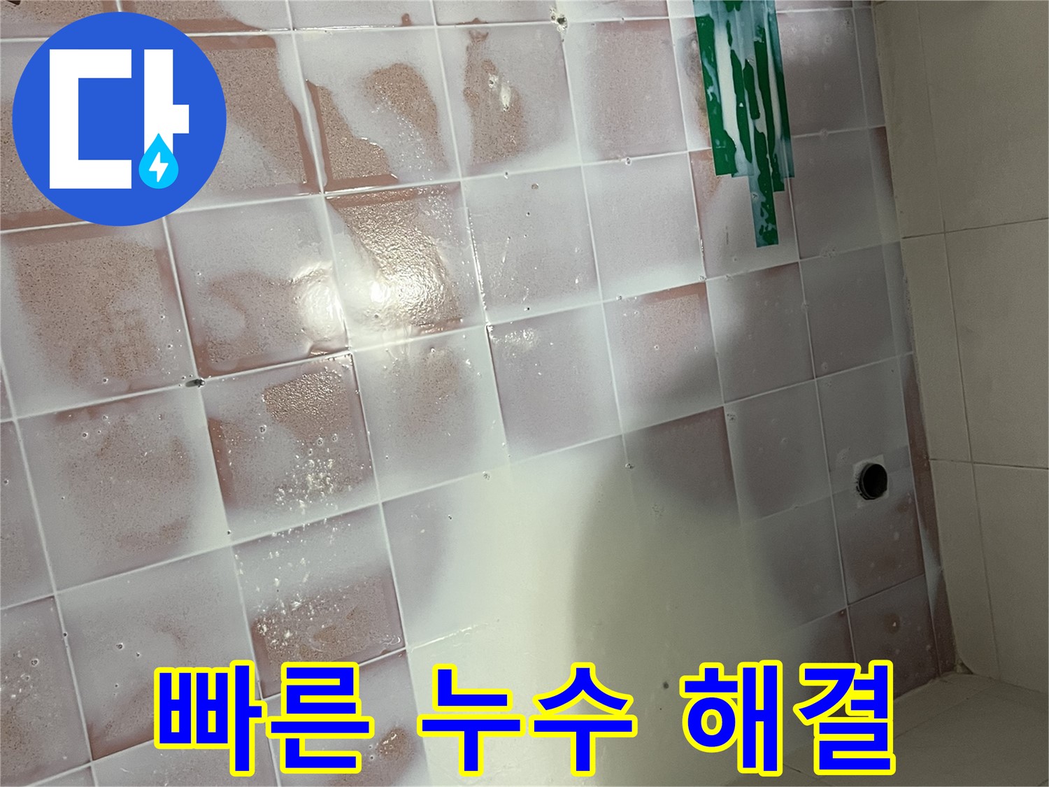 곰팡이 누수 - 신속하고 정확하게 해결