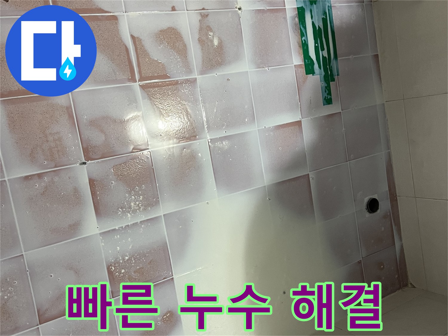 곰팡이 누수 - 신속하고 정확하게 해결