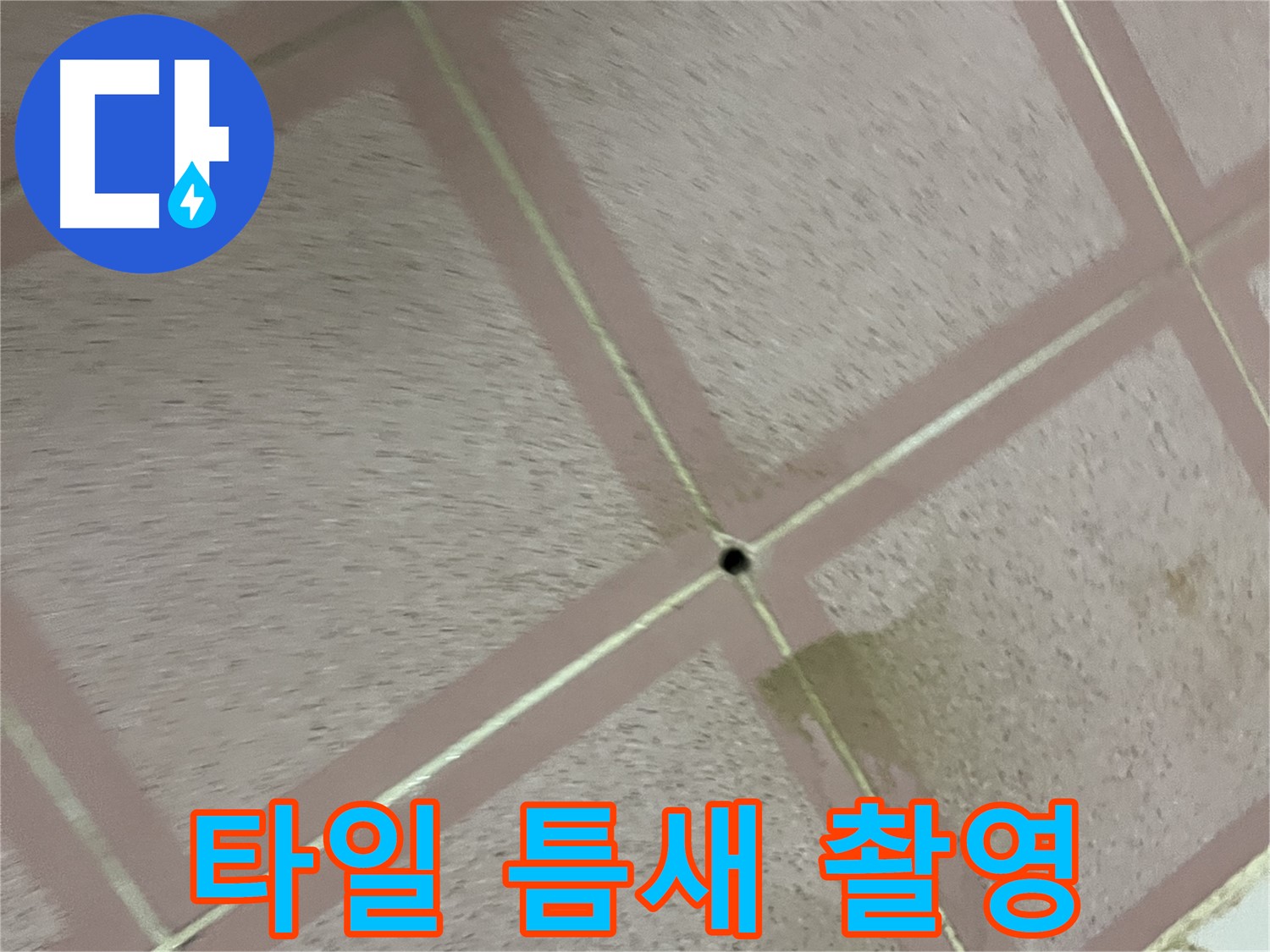 누수 탐지를 위한 타일 틈새 정밀 촬영 - 금천구