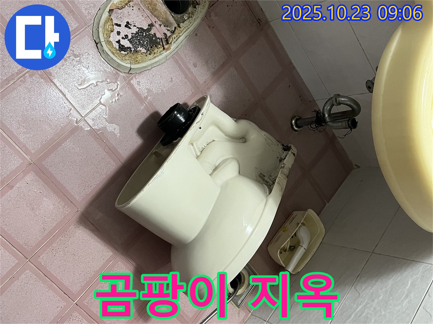 독산동 형제맨션빌 - 곰팡이 지옥, 청소 전문가 출동!