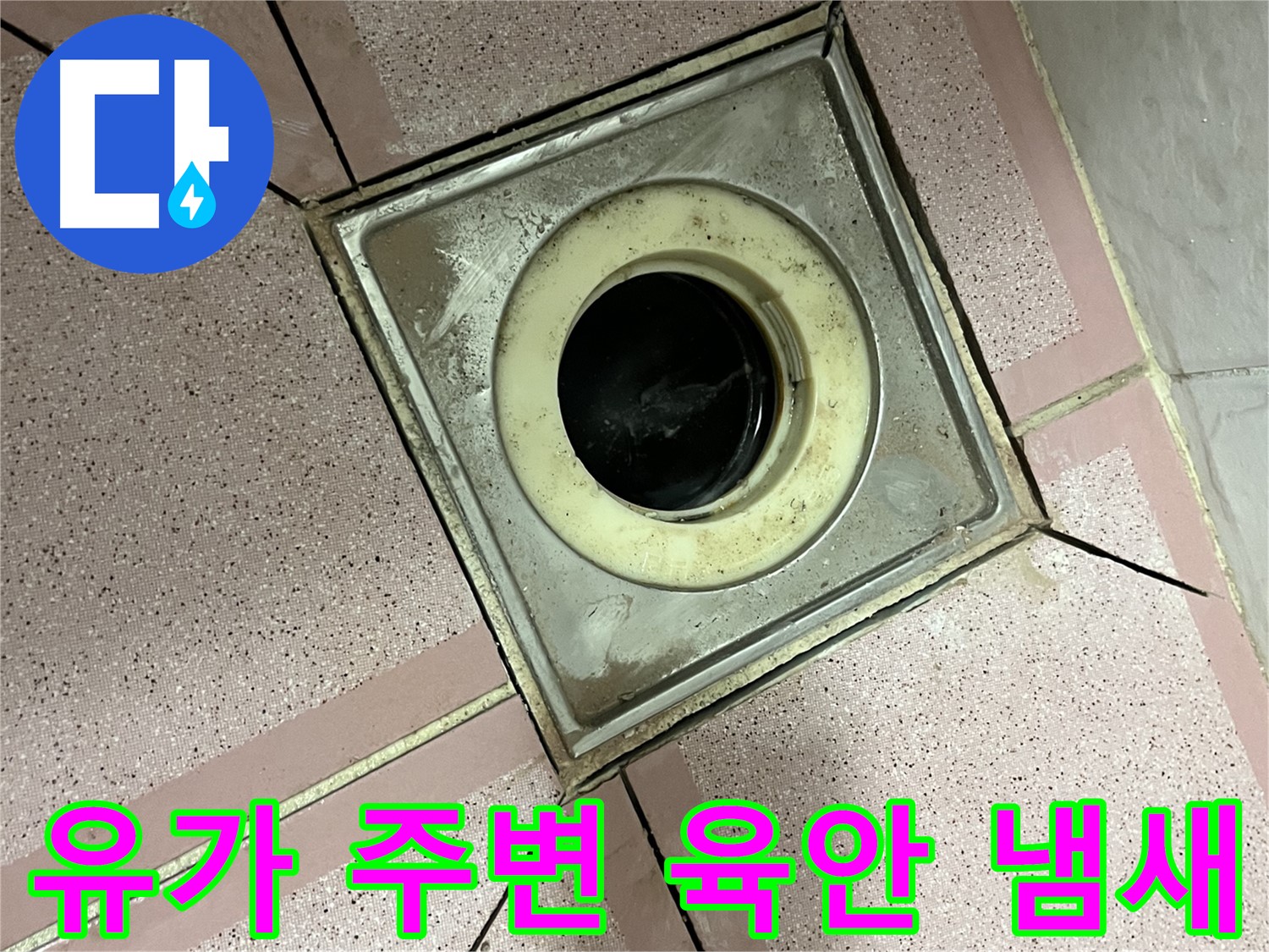독산동 형제빌 유가 주변 육안 및 냄새 점검 - 종합 누수 진단