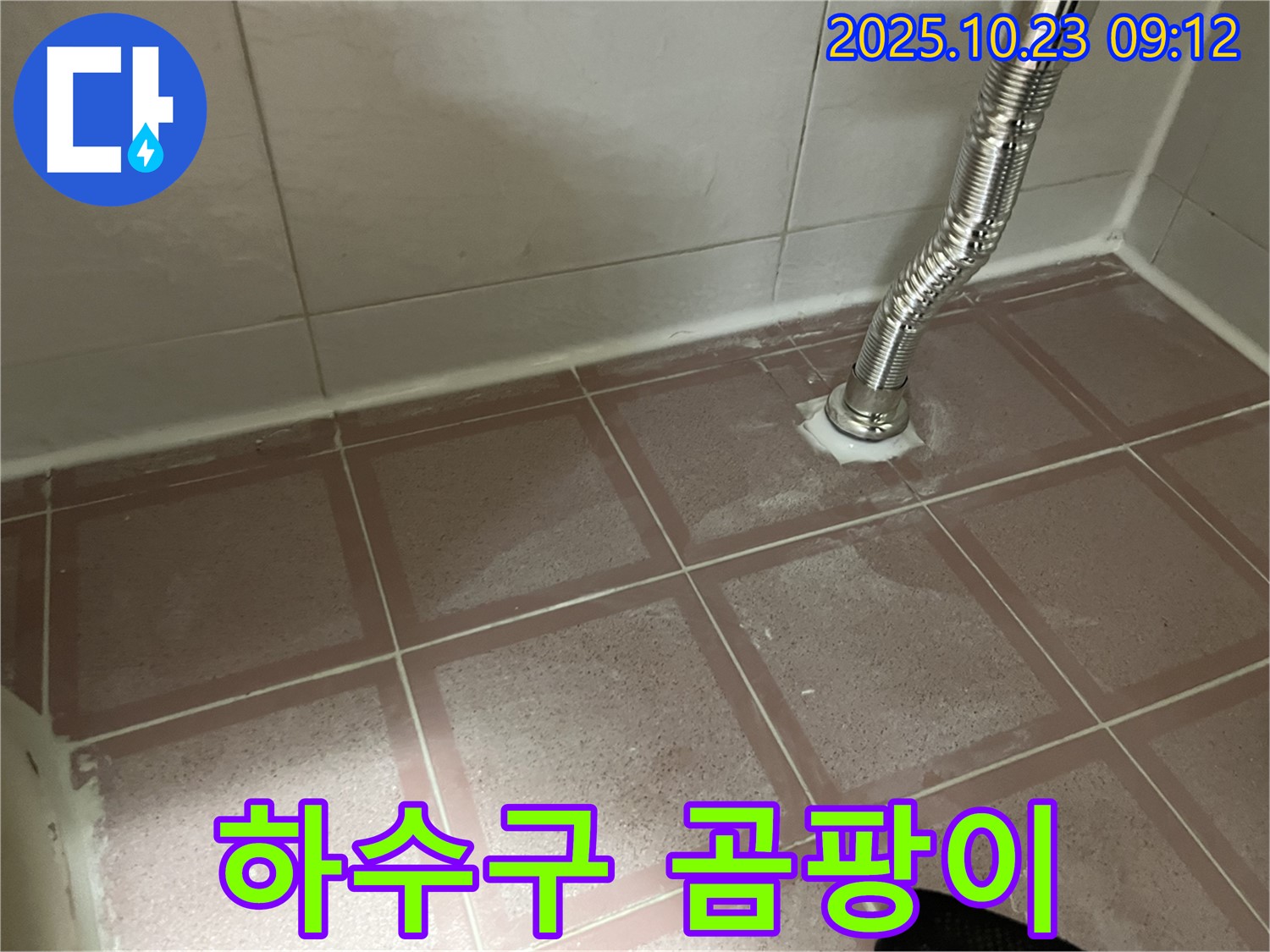 세면대 하수구 주변 곰팡이 - 누수 점검 필수