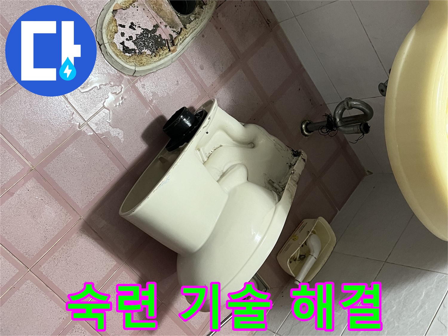 숙련된 기술로 변기 문제 해결 - 독산동 형제빌