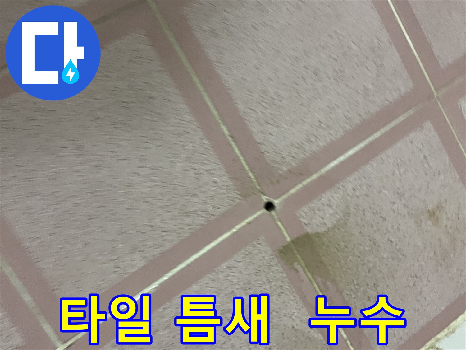 타일 틈새에 숨겨진 누수 - 독산동 형제빌