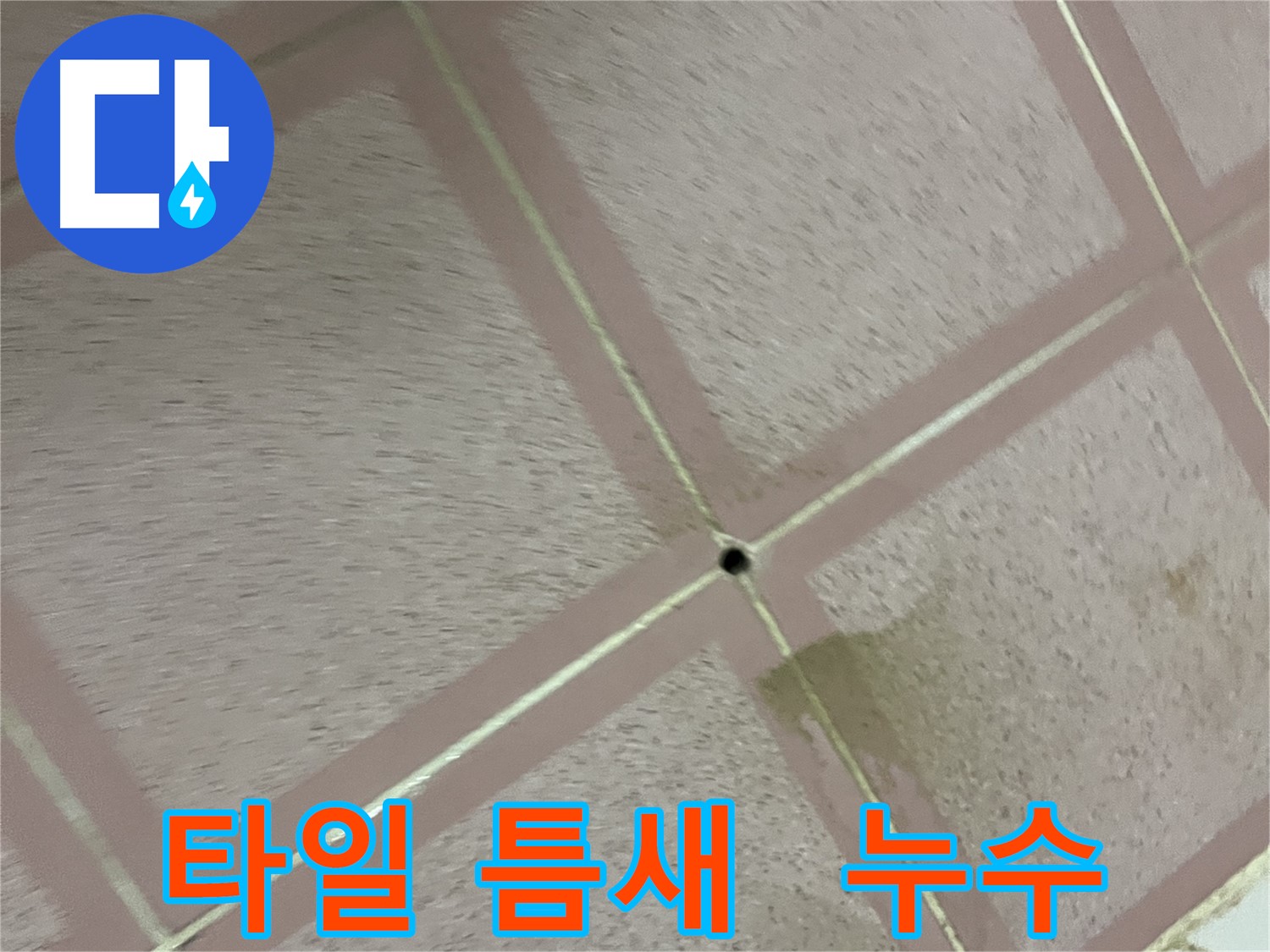 타일 틈새에 숨겨진 누수 - 독산동 형제빌