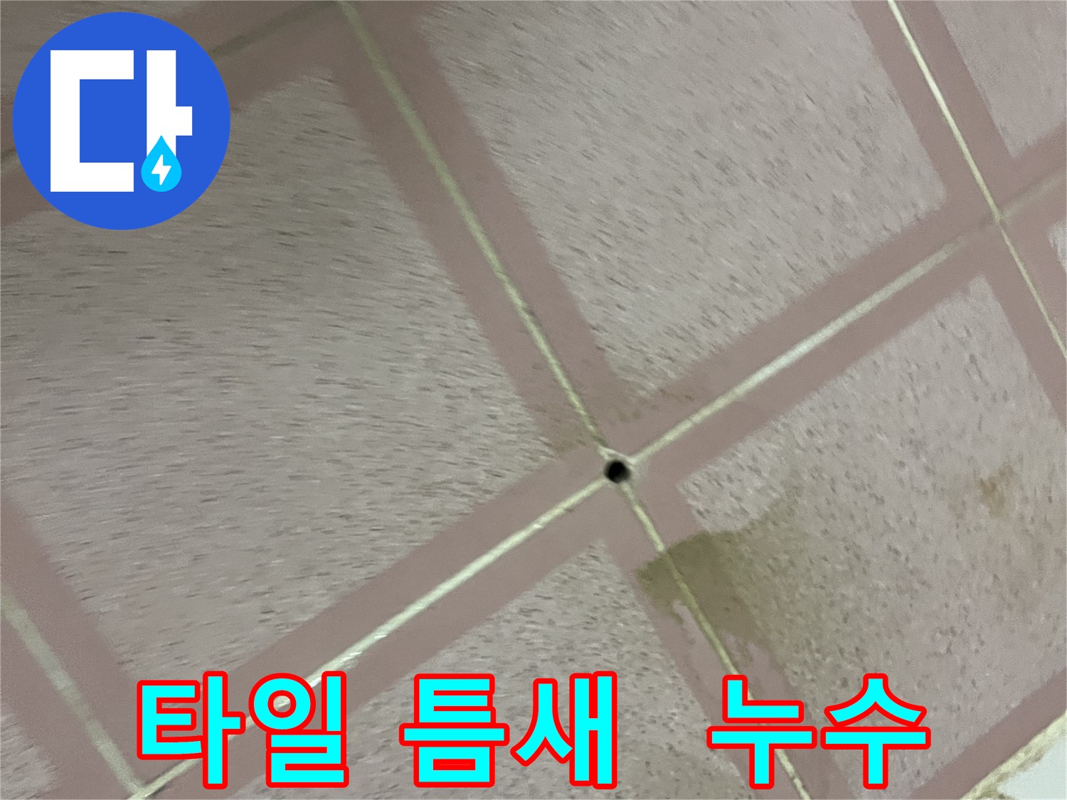 타일 틈새에 숨겨진 누수 - 독산동 형제빌