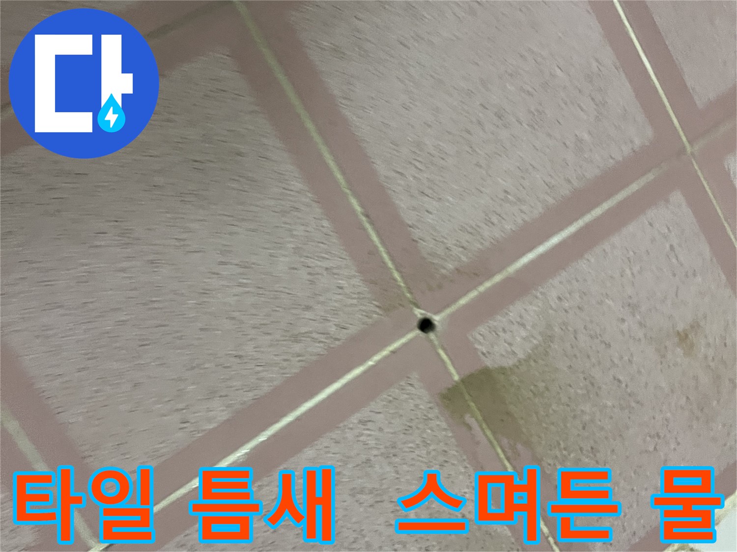 타일 틈새에 스며든 물 - 형제맨션 누수