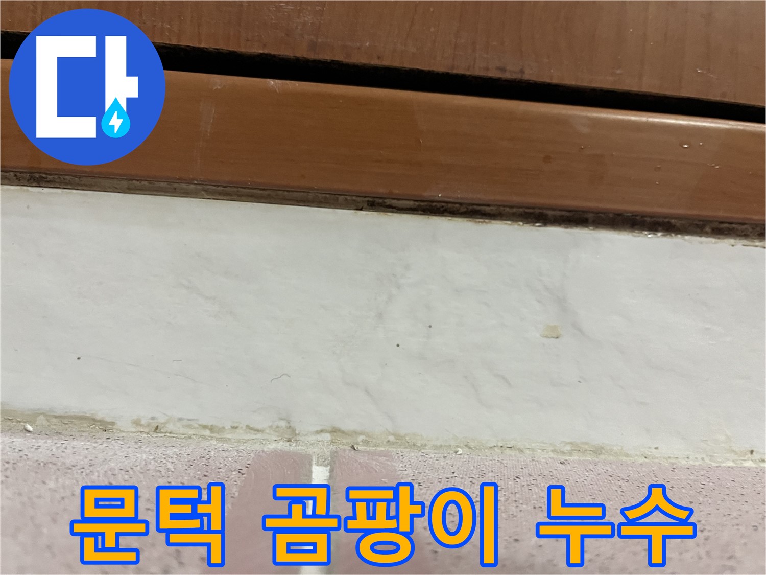 형제맨션빌 누수 - 문턱 주변 타일 곰팡이