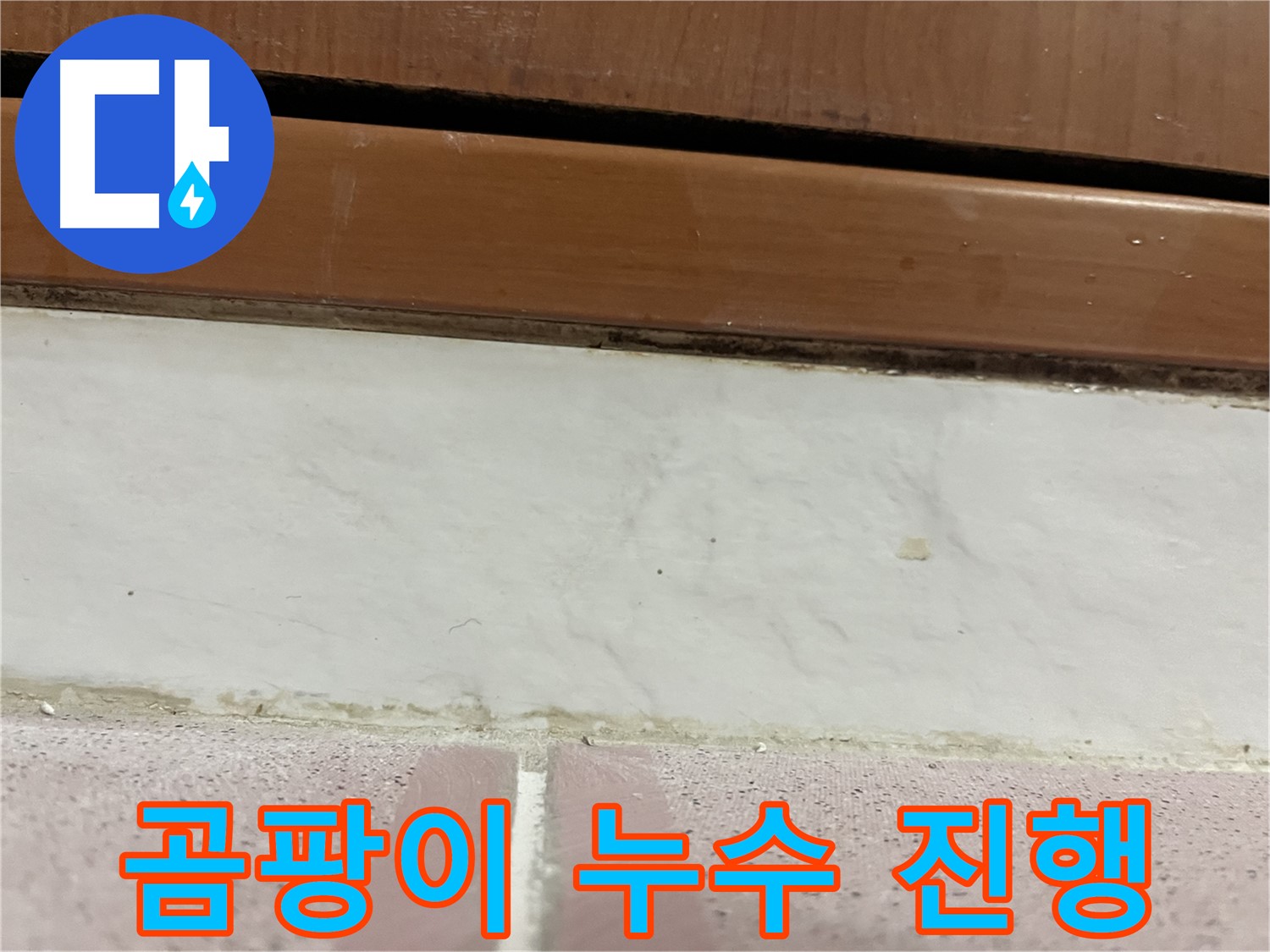 형제맨션빌 누수 - 타일 틈새 곰팡이와 누수
