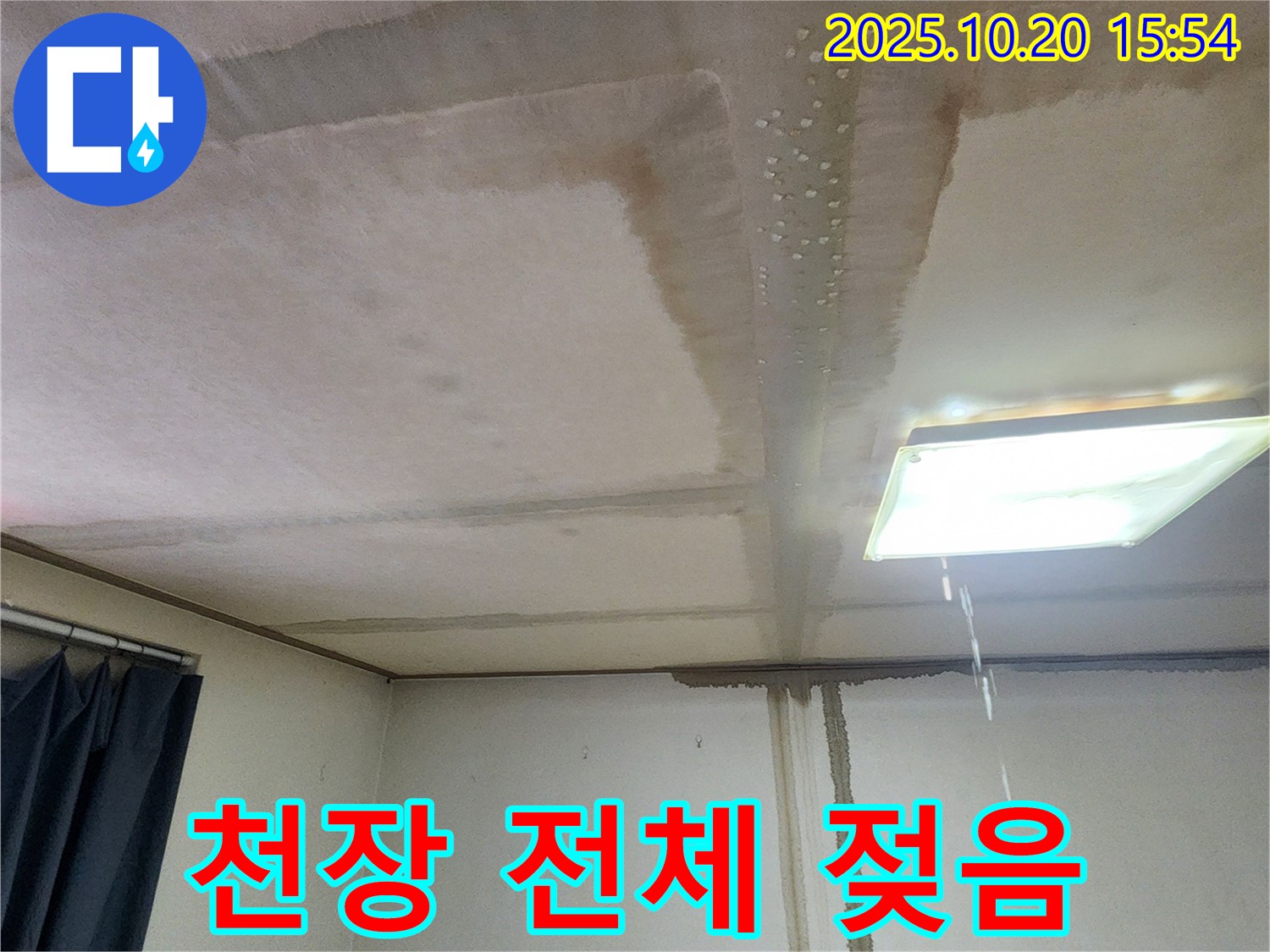 양주시 부곡리 천장 전체 젖음 - 심각한 누수, 빠른 복구