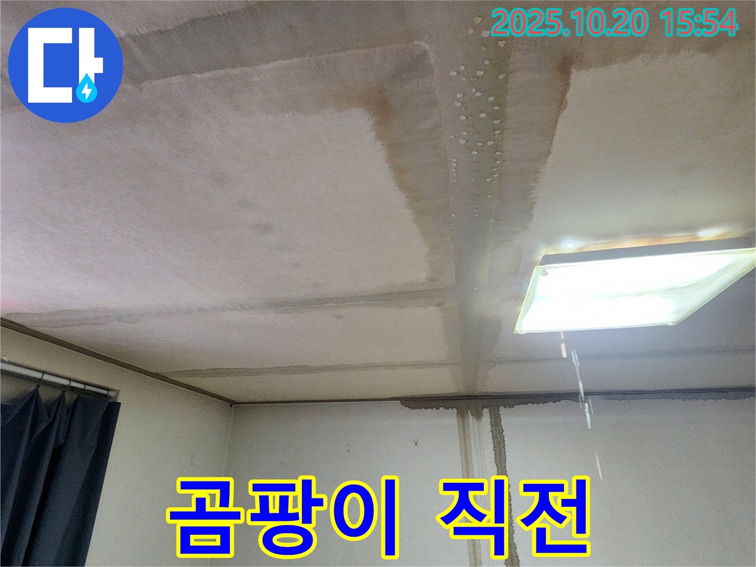 양주시 장흥면 천장 누수 곰팡이 직전 - 빠른 누수 진단 필요